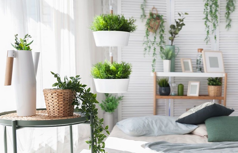 Những lợi ích của việc sử dụng cây trồng làm yếu tố trang trí nhà ở